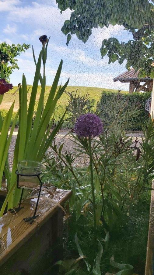 La Maison Des Vignes Charentay Eksteriør billede