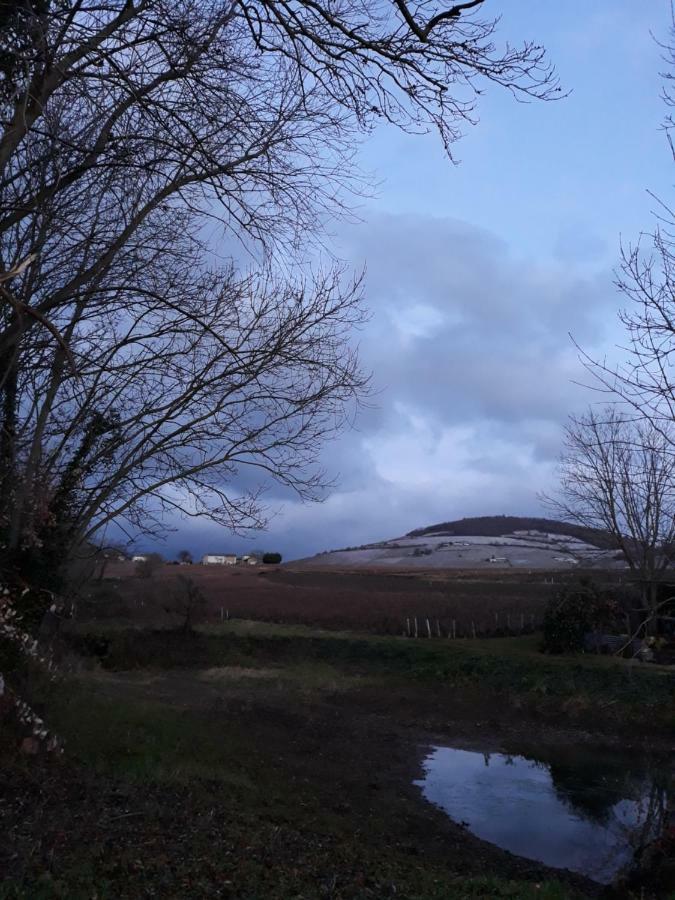 La Maison Des Vignes Charentay Eksteriør billede