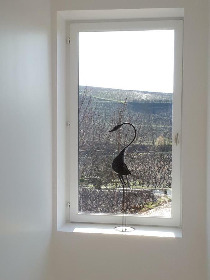La Maison Des Vignes Charentay Eksteriør billede