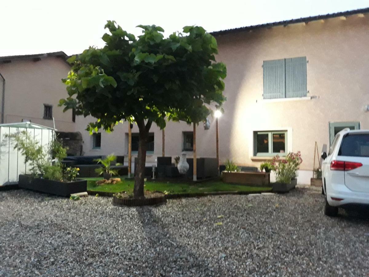 La Maison Des Vignes Charentay Eksteriør billede
